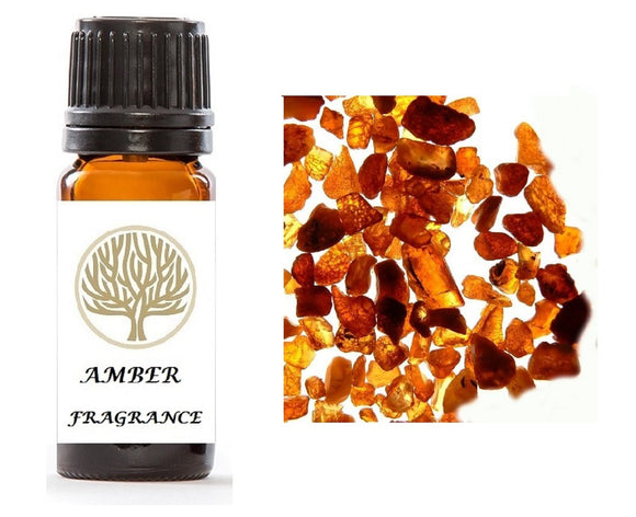 Amber Fragrance Oil 10ml - ekoface