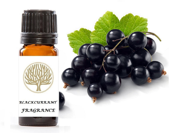 Blackcurrant Fragrance Oil 10ml - ekoface