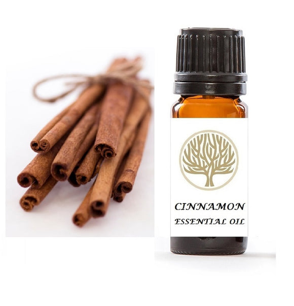 Cinnamon Essential Oil 10ml - ekoface