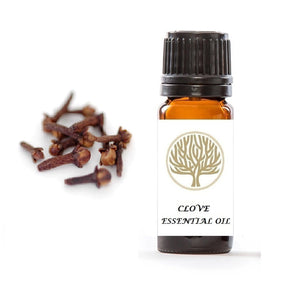 Clove Essential Oil 10ml - ekoface