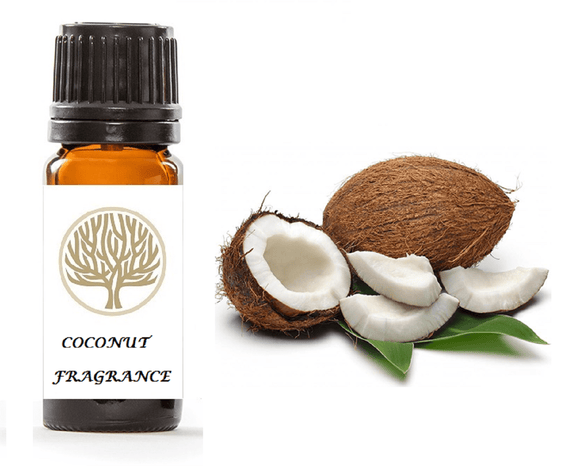 Coconut Fragrance Oil 10ml - ekoface