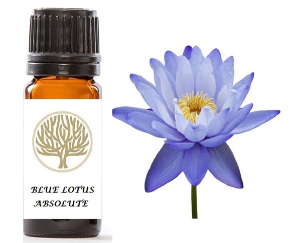Blue Lotus Absolute - ekoface