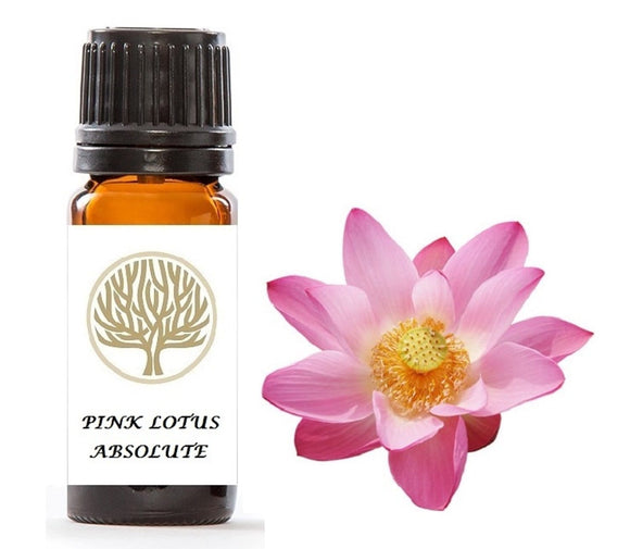 Pink Lotus Absolute - ekoface