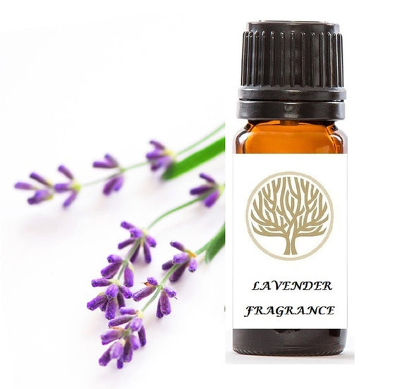 Lavender Fragrance Oil 10ml - ekoface