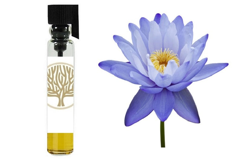 Blue Lotus Absolute – EkoFace