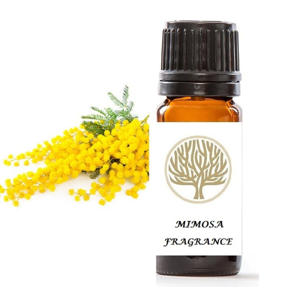 Mimosa Fragrance Oil 10ml - ekoface
