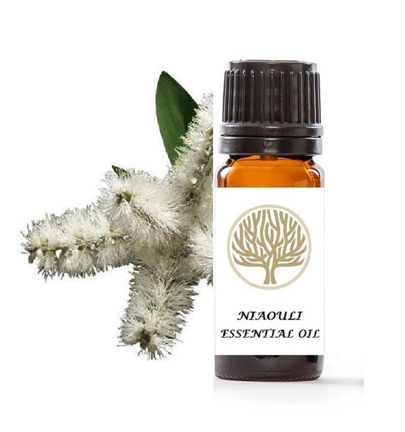Niaouli Essential Oil 10ml - ekoface
