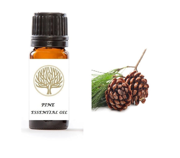 Pine Essential Oil 10ml - ekoface