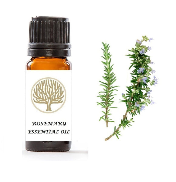 Rosemary Essential Oil 10ml - ekoface