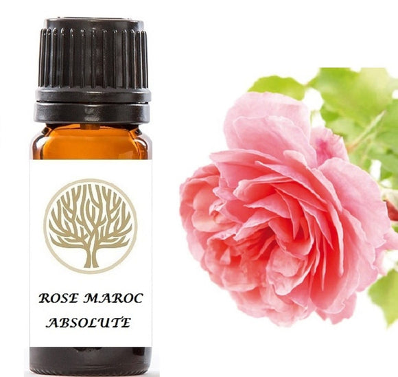 Rose Maroc Absolute - ekoface