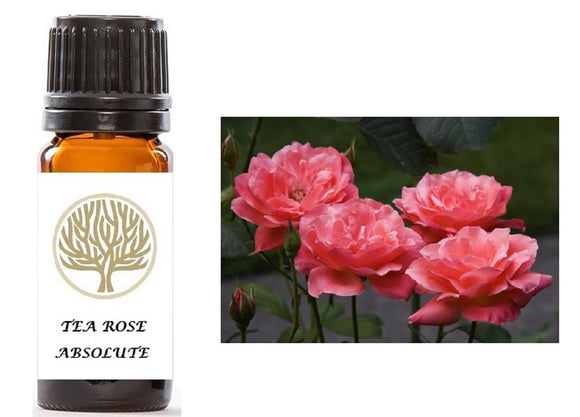 Tea Rose Absolute - ekoface