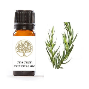 Tea Tree Essential Oil 10ml - ekoface