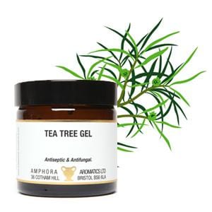 Tea Tree Gel 60ml - ekoface